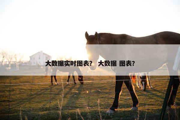 大数据实时图表？ 大数据 图表？