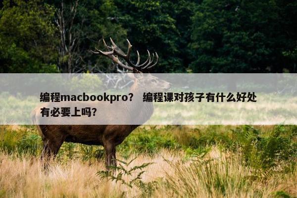 编程macbookpro？ 编程课对孩子有什么好处有必要上吗？