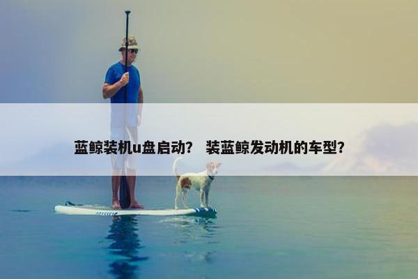 蓝鲸装机u盘启动？ 装蓝鲸发动机的车型？