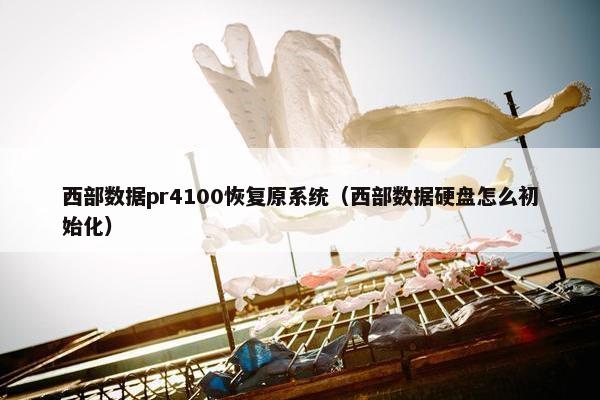 西部数据pr4100恢复原系统（西部数据硬盘怎么初始化）