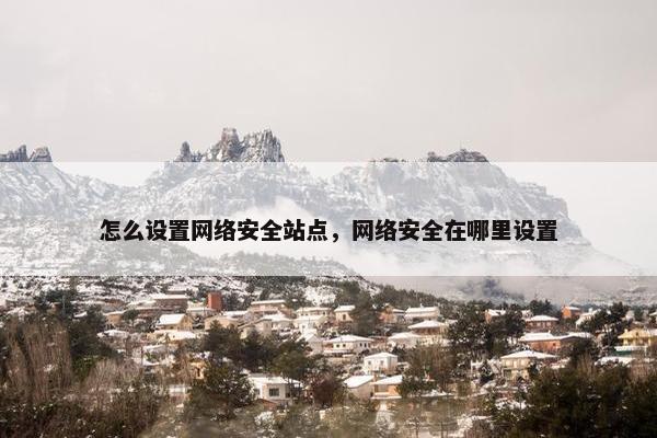 怎么设置网络安全站点，网络安全在哪里设置