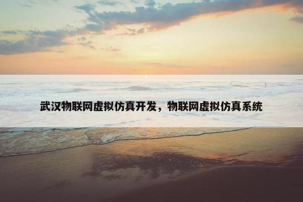 武汉物联网虚拟仿真开发，物联网虚拟仿真系统