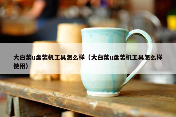 大白菜u盘装机工具怎么样（大白菜u盘装机工具怎么样使用）