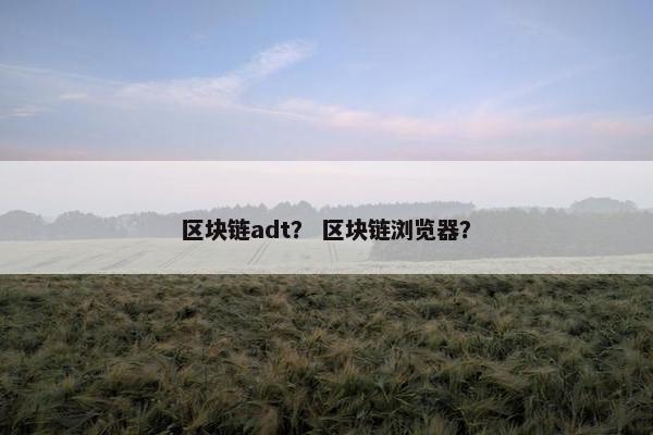 区块链adt？ 区块链浏览器？