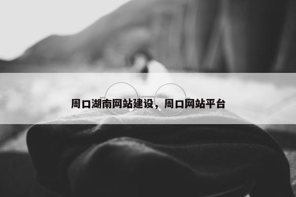 周口湖南网站建设，周口网站平台