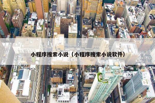 小程序搜索小说（小程序搜索小说软件）