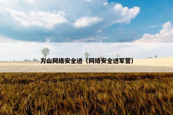 方山网络安全进（网络安全进军营）