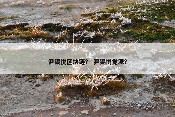 尹锡悦区块链？ 尹锡悦党派？