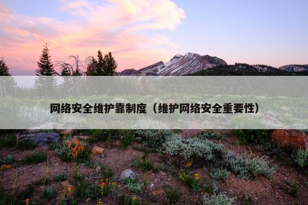 网络安全维护靠制度（维护网络安全重要性）