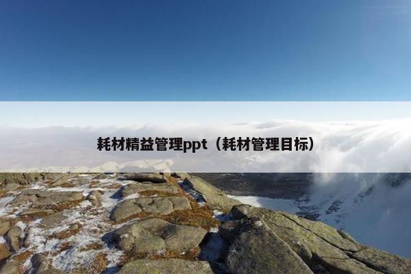 耗材精益管理ppt（耗材管理目标）