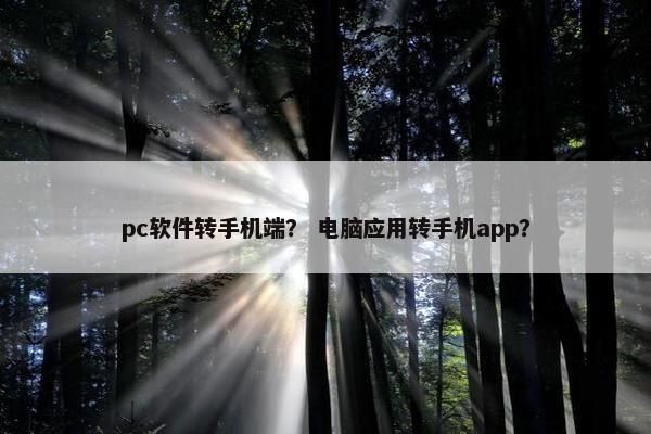 pc软件转手机端？ 电脑应用转手机app？