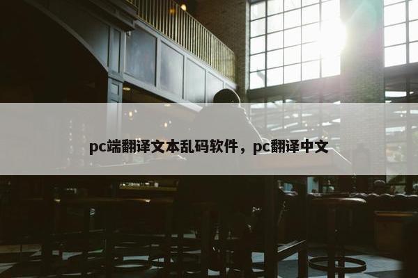pc端翻译文本乱码软件，pc翻译中文