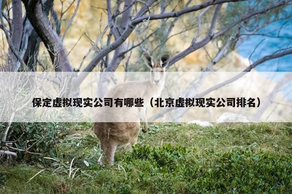 保定虚拟现实公司有哪些（北京虚拟现实公司排名）