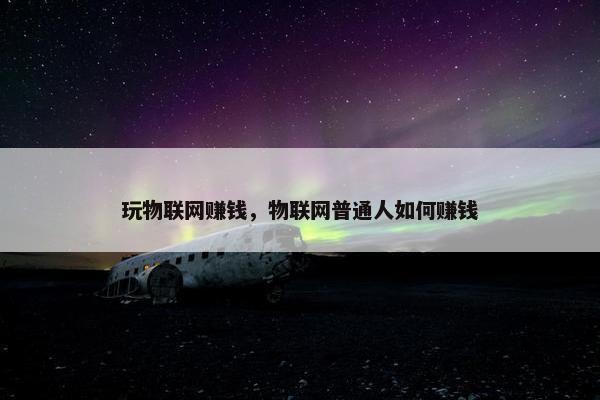 玩物联网赚钱，物联网普通人如何赚钱