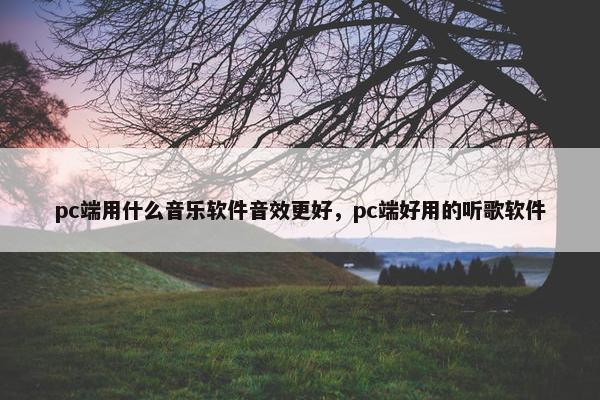 pc端用什么音乐软件音效更好，pc端好用的听歌软件