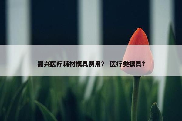 嘉兴医疗耗材模具费用？ 医疗类模具？