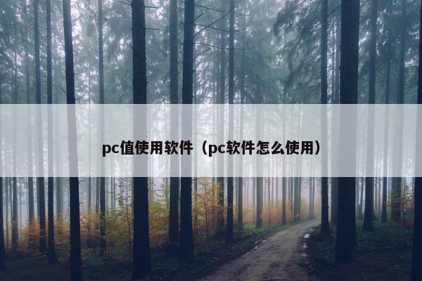 pc值使用软件（pc软件怎么使用）