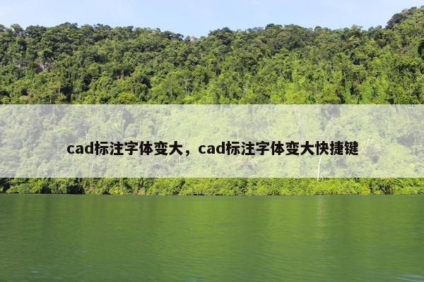 cad标注字体变大，cad标注字体变大快捷键