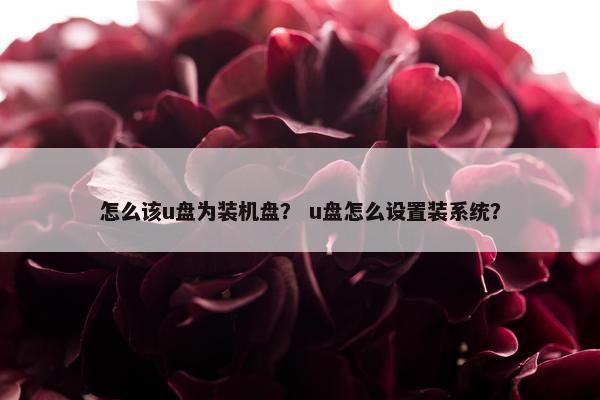 怎么该u盘为装机盘？ u盘怎么设置装系统？