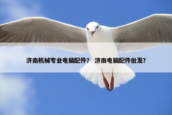 济南机械专业电脑配件？ 济南电脑配件批发？