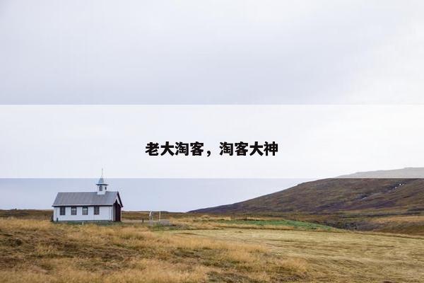 老大淘客，淘客大神