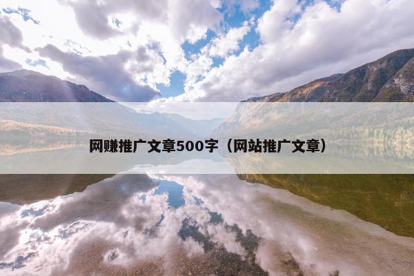网赚推广文章500字（网站推广文章）