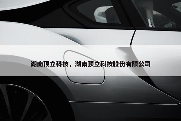 湖南顶立科技，湖南顶立科技股份有限公司