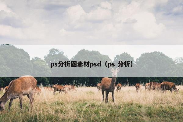 ps分析图素材psd（ps 分析）