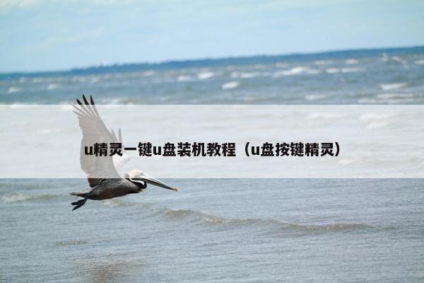 u精灵一键u盘装机教程（u盘按键精灵）