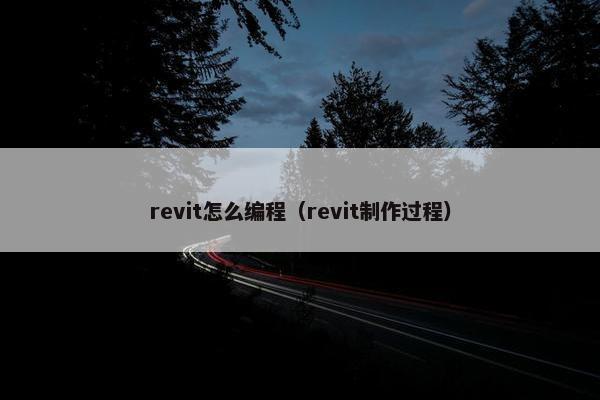 revit怎么编程（revit制作过程）
