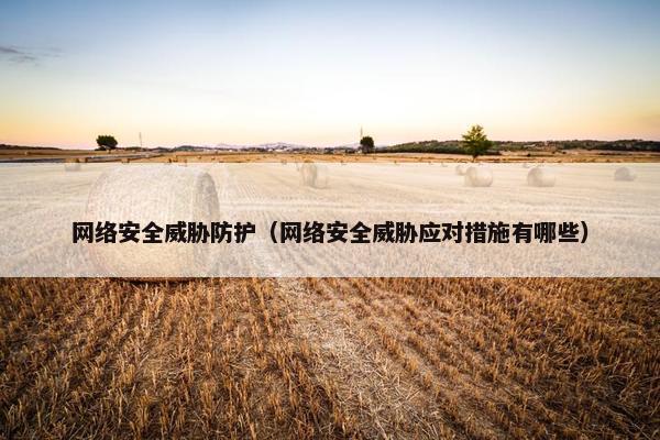 网络安全威胁防护（网络安全威胁应对措施有哪些）