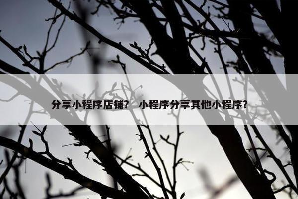 分享小程序店铺？ 小程序分享其他小程序？