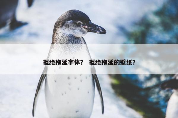 拒绝拖延字体？ 拒绝拖延的壁纸？