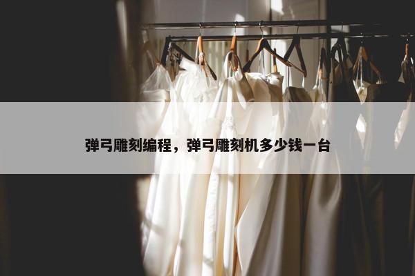 弹弓雕刻编程，弹弓雕刻机多少钱一台