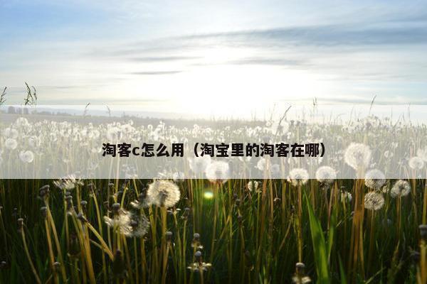淘客c怎么用（淘宝里的淘客在哪）