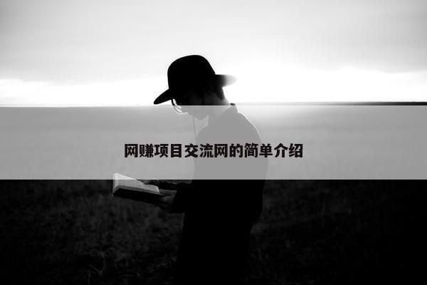 网赚项目交流网的简单介绍