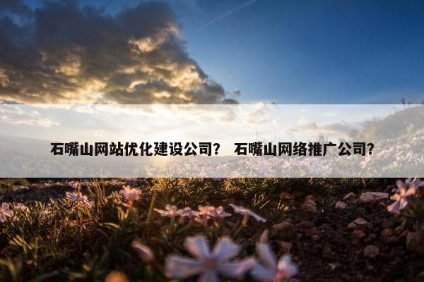 石嘴山网站优化建设公司？ 石嘴山网络推广公司？