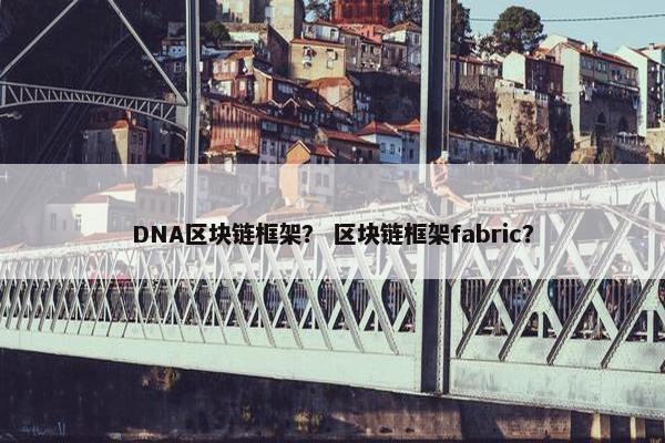 DNA区块链框架？ 区块链框架fabric？