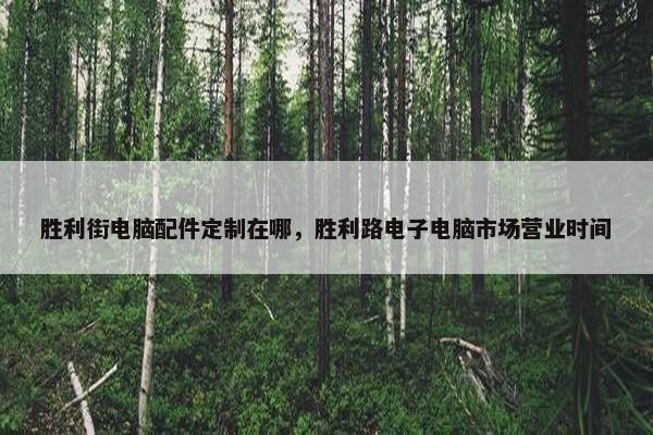 胜利街电脑配件定制在哪，胜利路电子电脑市场营业时间