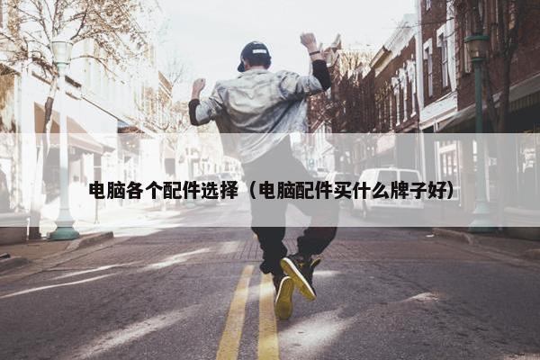 电脑各个配件选择（电脑配件买什么牌子好）