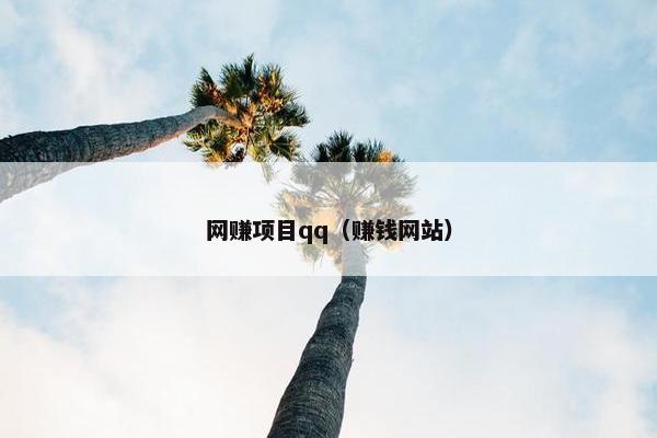 网赚项目qq（赚钱网站）
