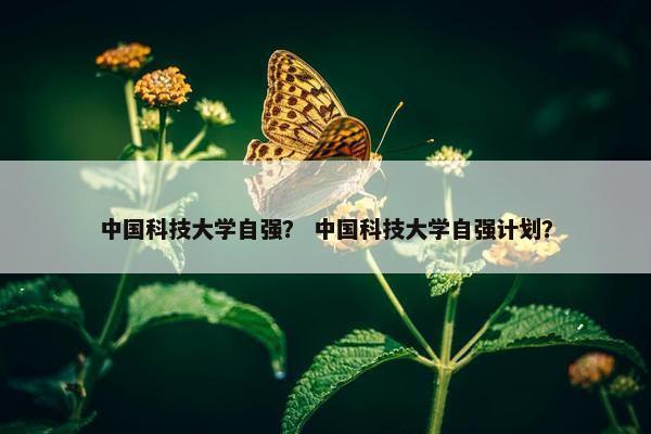 中国科技大学自强？ 中国科技大学自强计划？