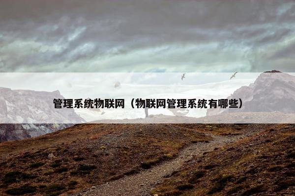 管理系统物联网（物联网管理系统有哪些）
