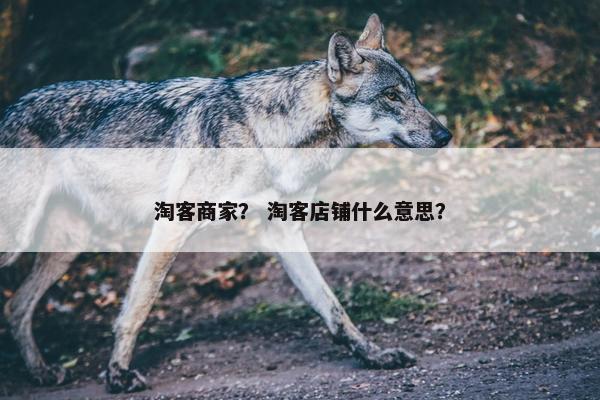 淘客商家？ 淘客店铺什么意思？
