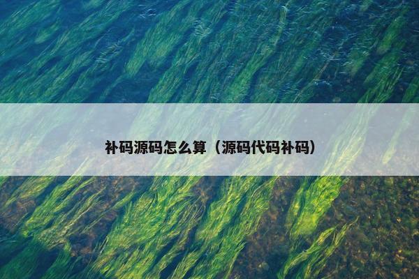 补码源码怎么算（源码代码补码）