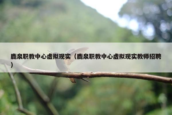 鹿泉职教中心虚拟现实（鹿泉职教中心虚拟现实教师招聘）