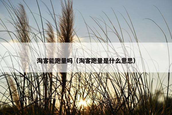 淘客能跑量吗（淘客跑量是什么意思）