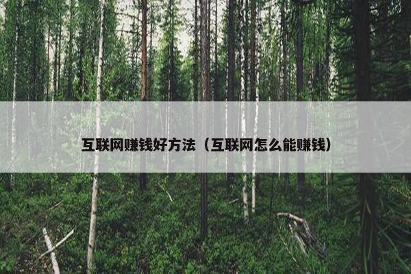 互联网赚钱好方法（互联网怎么能赚钱）