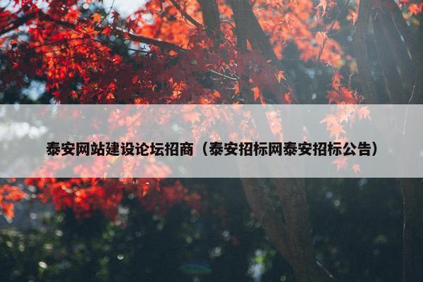泰安网站建设论坛招商（泰安招标网泰安招标公告）