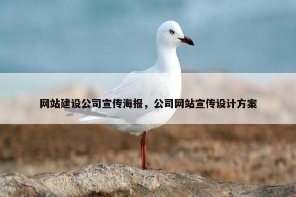 网站建设公司宣传海报，公司网站宣传设计方案